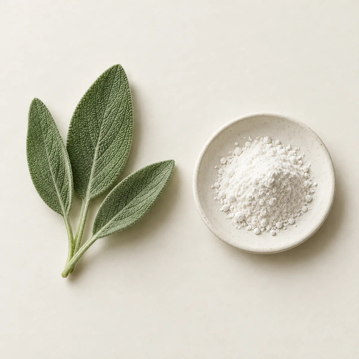 Fresh sage leaves beside a small dish of white powder